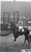 Pferderennen (Positivo) di Joffé, Emil (1935/01/01 - 1939/12/31)