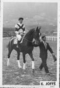 Pferderennen (Positivo) di Joffé, Emil (1935/01/01 - 1939/12/31)