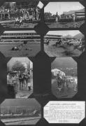 Pferderennen (Positivo) di Celere (1953/08/23 - 1953/08/23)