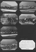 Pferderennen (Positivo) di Celere (1953/08/83 - 1953/08/83)