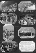 Pferderennen (Positivo) di Celere (1953/09/27 - 1953/09/27)