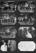 Gruppenbild (Positivo) di Celere (1953/10/04 - 1953/10/04)