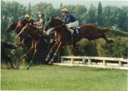 Pferderennen (Positivo) di Foto-press (1989/01/01 - 1989/12/31)