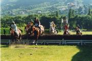 Pferderennen (Positivo) di Foto-press (2000/06/18 - 2000/06/18)