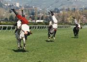 Sport (Positivo) (1980/01/01 - 1990/12/31)