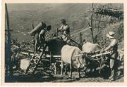 Bäuerliche Arbeit (Positivo) di Bährendt, Leo (1920/01/01 - 1967/12/31)