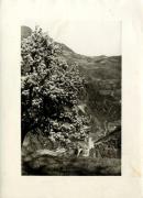 Burg Karneid (Positivo) di Faganello, Flavio