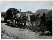 contadino (Positivo) di Faganello, Flavio