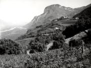 Panorama (Positivo) di Faganello, Flavio