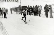 Langlauf (Positivo) di Faganello, Flavio (1974/01/01 - 1974/12/31)