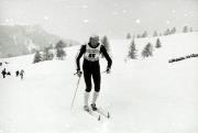 Langlauf (Positivo) di Faganello, Flavio (1974/01/01 - 1974/12/31)