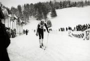 Langlauf (Positivo) di Faganello, Flavio (1974/01/01 - 1974/12/31)