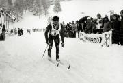 Langlauf (Positivo) di Faganello, Flavio (1974/01/01 - 1974/12/31)