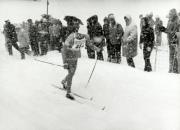 Langlauf (Positivo) di Faganello, Flavio (1974/01/01 - 1974/12/31)