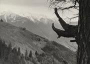 maso (Positivo) di Faganello, Flavio (1972/02/03 - 1972/02/03)