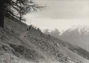 uomo (Positivo) di Faganello, Flavio (1972/02/03 - 1972/02/03)