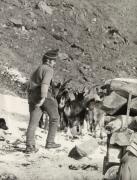 sasso (Positivo) di Faganello, Flavio (1972/02/03 - 1972/02/03)