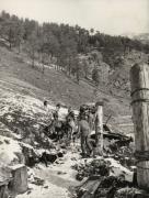 sasso (Positivo) di Faganello, Flavio (1972/02/03 - 1972/02/03)