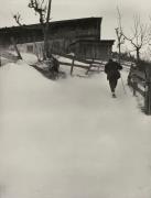 albero (Positivo) di Faganello, Flavio (1971/12/09 - 1971/12/09)