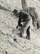 uomo (Positivo) di Faganello, Flavio (1972/03/32 - 1972/03/32)