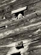 edificio (Positivo) di Faganello, Flavio (1972/02/03 - 1972/02/03)