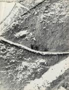 neve (Positivo) di Faganello, Flavio (1972/02/02 - 1972/02/02)