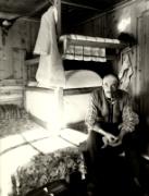 pipa (Positivo) di Faganello, Flavio (1971/11/17 - 1971/11/17)