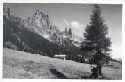 Alm San Martino di Castrozza (Positivo) di Bährendt, Leo (1902/01/01 - 1927/12/31)