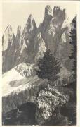 Alpinflora (Positivo) di Bährendt, Leo (1902/01/01 - 1929/12/01)