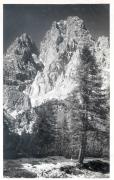 Alpinflora (Positivo) di Bährendt, Leo (1902/01/01 - 1929/12/31)