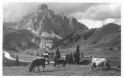 strada (Positivo) di Bährendt, Leo (1902/01/01 - 1931/12/31)