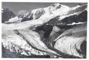 Rifugio Palla Bianca (Positivo) di Bährendt, Leo (1902/01/01 - 1931/12/31)