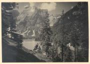 Nadelwald (Positivo) di Bährendt, Leo (1902/01/01 - 1939/12/23)