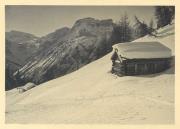 Alm Pragser Wildsee (Positivo) di Bährendt, Leo (1902/01/01 - 1939/12/31)