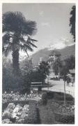 Promenade (Positivo) di Bährendt, Leo (1902/01/01 - 1939/12/31)
