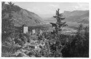 Mischwald (Laub- und Nadelbäume) (Positivo) di Bährendt, Leo (1902/01/01 - 1939/12/31)