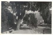 Promenade (Positivo) di Bährendt, Leo (1902/01/01 - 1939/12/31)