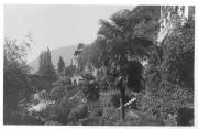 Promenade (Positivo) di Bährendt, Leo (1902/01/01 - 1939/12/31)