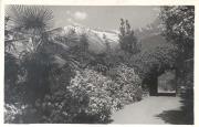Promenade (Positivo) di Bährendt, Leo (1902/01/01 - 1939/12/31)