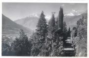 Promenade (Positivo) di Bährendt, Leo (1902/01/01 - 1939/12/31)