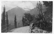 Promenade (Positivo) di Bährendt, Leo (1902/01/01 - 1939/12/31)