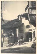 donna (Positivo) di Bährendt, Leo (1902/01/01 - 1939/12/31)