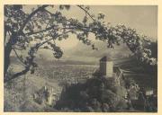 Schloss Tirol (Positivo) di Bährendt, Leo (1902/01/01 - 1939/12/31)