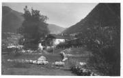 pecore al pascolo (Positivo) di Bährendt, Leo (1902/01/01 - 1931/12/31)