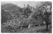 Obstbaum (Positivo) di Bährendt, Leo (1902/01/01 - 1939/12/31)