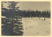 sport invernale (Positivo) di Bährendt, Leo (1902/01/01 - 1939/12/31)