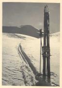 Motiv: Winter (Positivo) di Bährendt, Leo (1902/01/01 - 1939/12/01)