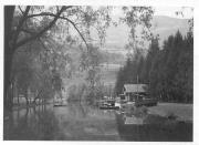 Fischfang (Positivo) di Bährendt, Leo (1902/01/01 - 1939/12/31)