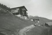 Haus (Positivo) (1977/11/01 - 1977/11/13)