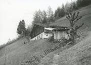 Haus (Positivo) (1977/10/01 - 1977/10/31)